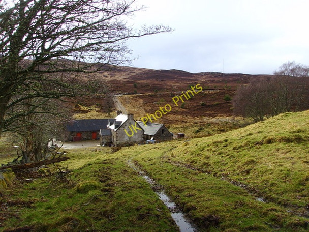 Photo 6"x4" Corryfoyness Farm Balchraggan\/NH5634 c2009