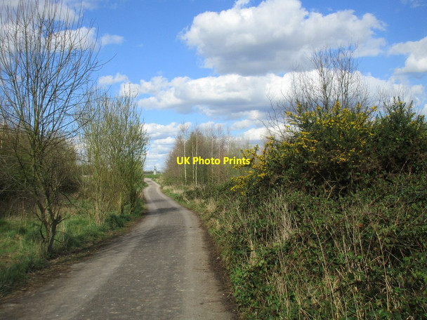Photo 6"x4" Approaching the River Ouse Selby c2017