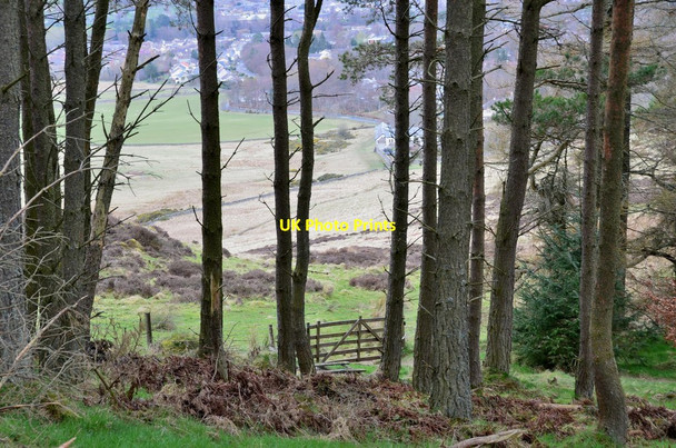 Photo 6"x4" Gate to Cademuir Forest Peebles\/NT2540 c2017