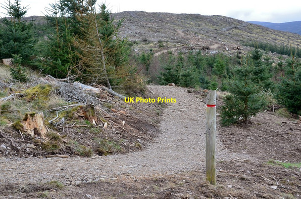 Photo 6"x4" New path to Cademuir summit Peebles\/NT2540 c2017