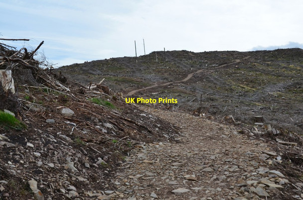 Photo 6"x4" New path to Cademuir summit (2) Bellanrigg c2017