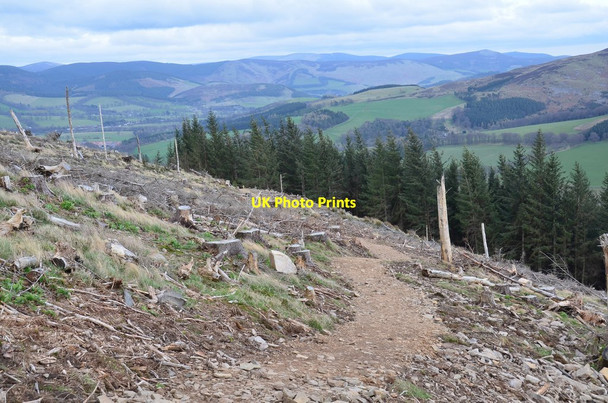 Photo 6"x4" New path descending from Cademuir summit Bellanrigg c2017