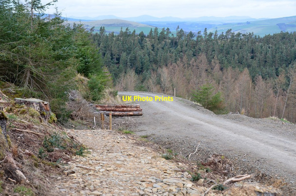 Photo 6"x4" New path joins forest road, Cademuir Bellanrigg c2017