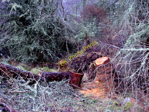 Photo 6"x4" Cleanup work after the gales - near Balchraggan Balchraggan\/NH5634 c2009