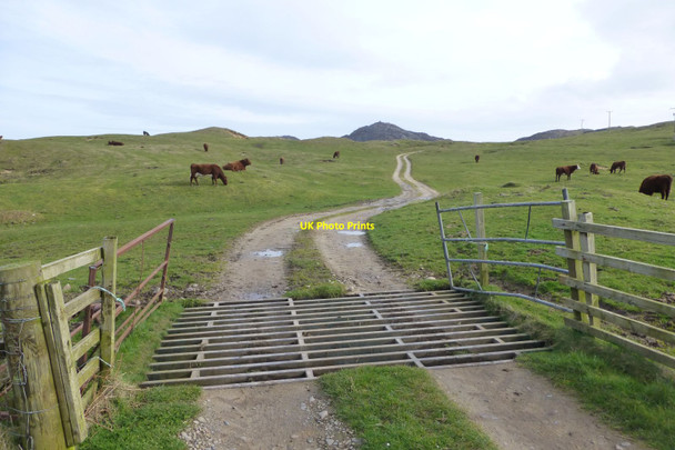 Photo 6"x4" Cattle grid on the track to Balnahard Kiloran\/NR3996 c2017