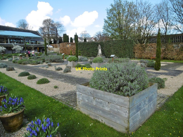 Photo 6"x4" Buckfast, garden Buckfastleigh c2017