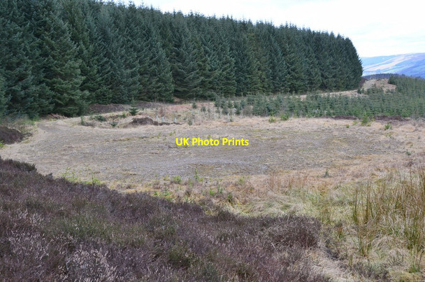 Photo 6"x4" Turning circle, Curly Moor plantation Paddock Burn c2017