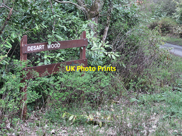 Photo 6"x4" Desart Wood Callan c2017