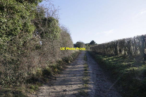 Photo 6"x4" Back Uphill Aldworth c2017