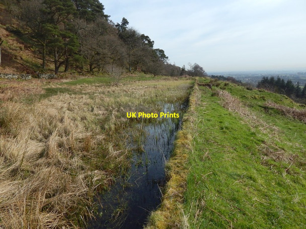 Photo 6"x4" Old reservoir: dam wall Old Kilpatrick c2017