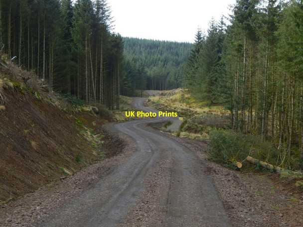 Photo 6"x4" Forestry track near Loch Humphrey Bowling\/NS4473 c2017