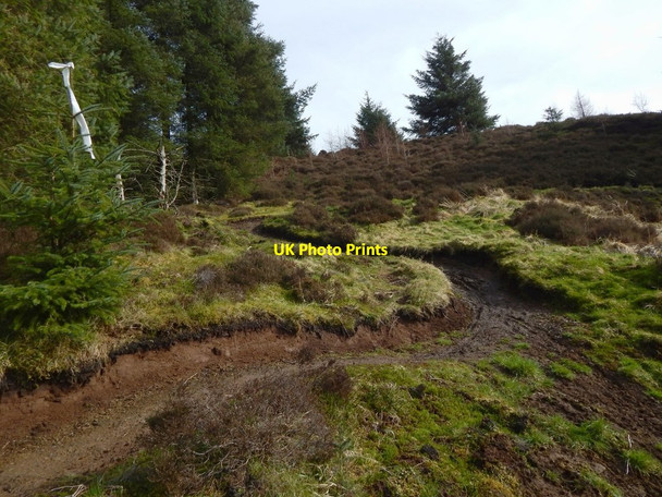 Photo 6"x4" Path zigzagging down a slope Milton\/NS4274 c2017