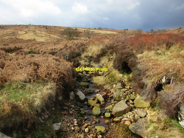 Photo 6"x4" Collier Gill Goathland c2017