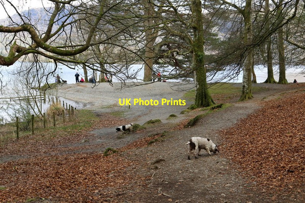 Photo 6"x4" Awaiting the ferry at Hawes End Keswick\/NY2623 c2017