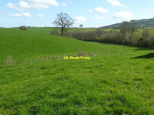 Photo 6"x4" Farmland near Lower Tre-fal-du Cwmcarvan c2017