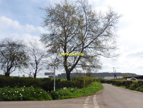 Photo 6"x4" Gittisham Farm Cross Alfington c2017