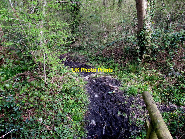 Photo 6"x4" Muddy track in Bath Wood, Cwmbran Cwmbran\/Cwmbr\u00e2n c2017