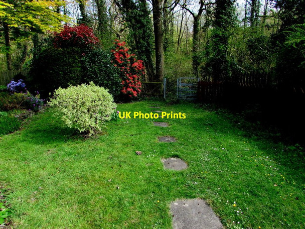 Photo 6"x4" Path towards Bath Wood, Cwmbran Cwmbran\/Cwmbr\u00e2n c2017