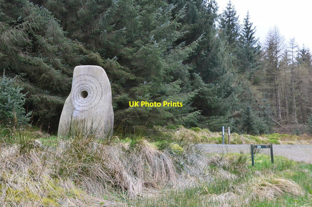 Photo 6"x4" The Border Stane, Newcastleton Forest Whithaugh c2017
