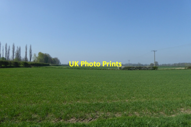 Photo 6"x4" Farmland beside Chapel Lane Askham Bryan c2017