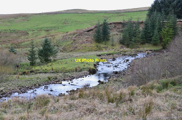 Photo 6"x4" Kershope Burn Greens\/NY4886 c2017