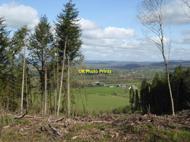 Photo 6"x4" View to Lower and Upper Tal-y-fan Pen-y-clawdd\/SO4507 c2017