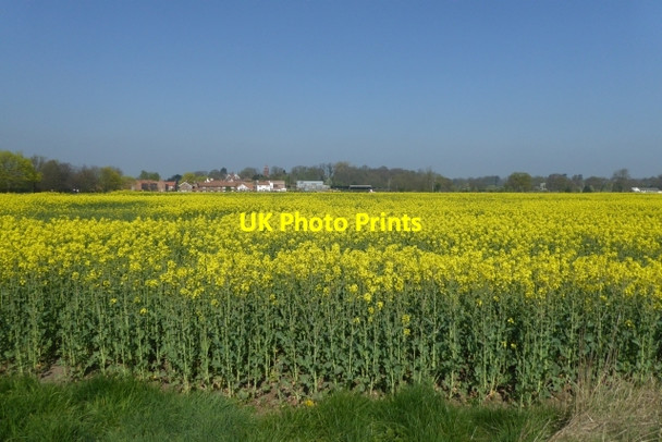 Photo 6"x4" Rape south of Askham Richard Askham Richard c2017