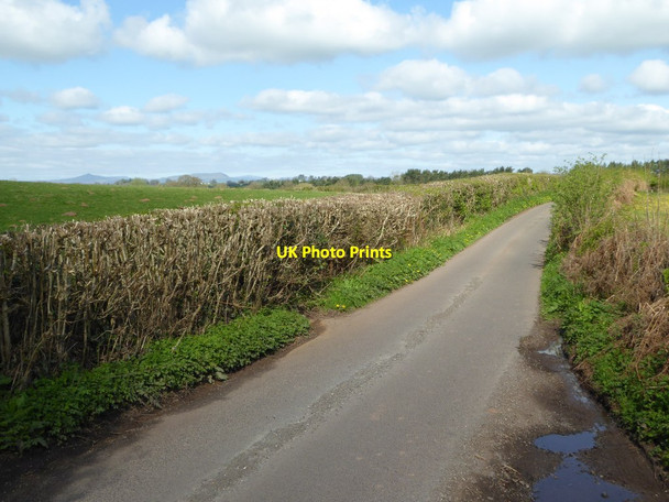 Photo 6"x4" Country road below Graig Wood Coed-y-fedw c2017