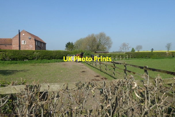 Photo 6"x4" Fields at Eastgarth Farm Catterton c2017