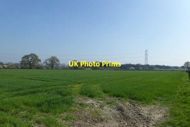 Photo 6"x4" Farmland east of Wighill Wighill c2017