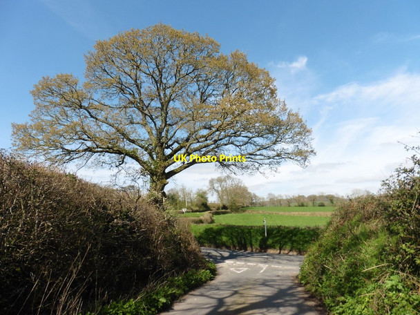 Photo 6"x4" Junction with the A373 Awliscombe c2017