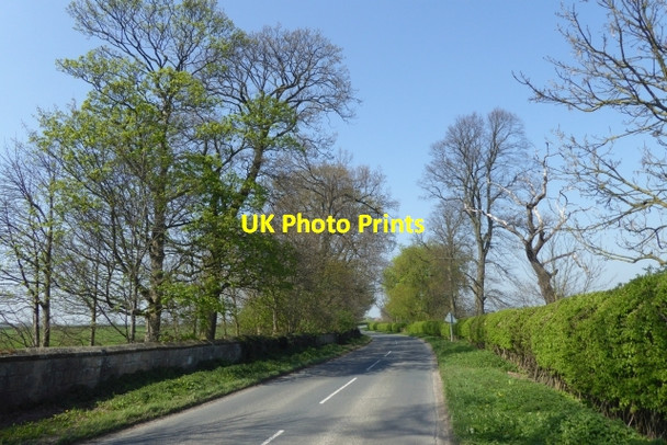 Photo 6"x4" Looking along Wighill Lane Tadcaster c2017