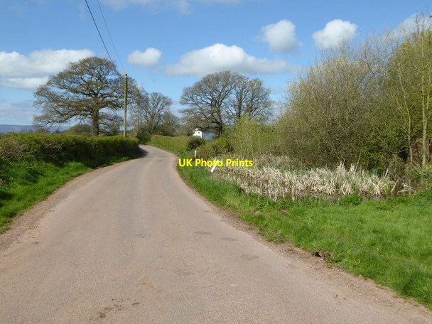 Photo 6"x4" Country road near Ty-mawr Coed-y-fedw c2017