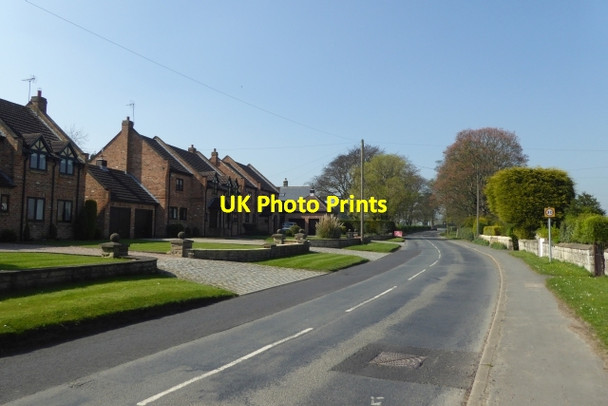 Photo 6"x4" Houses along Wighill Lane Tadcaster c2017
