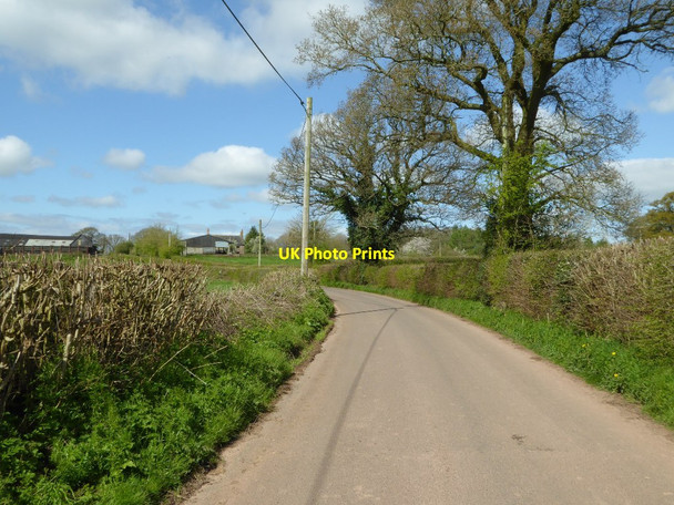 Photo 6"x4" Country road to the east of Ty-mawr Coed-y-fedw c2017