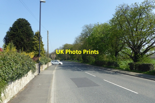 Photo 6"x4" Along York Road Tadcaster c2017