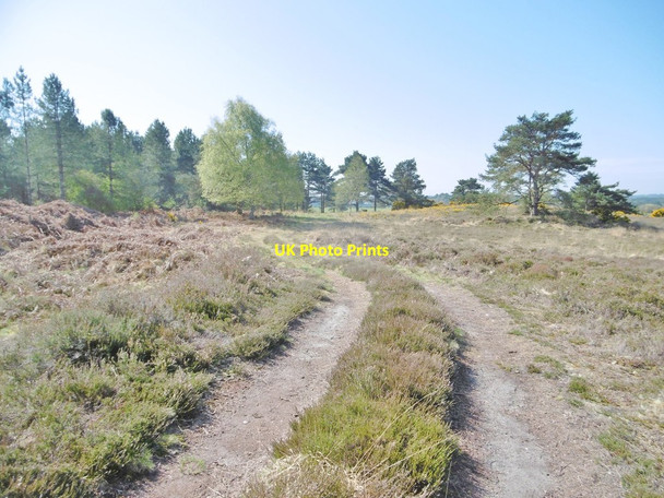 Photo 6"x4" Lower Hyde Heath, track Cold Harbour\/SY9089 c2017
