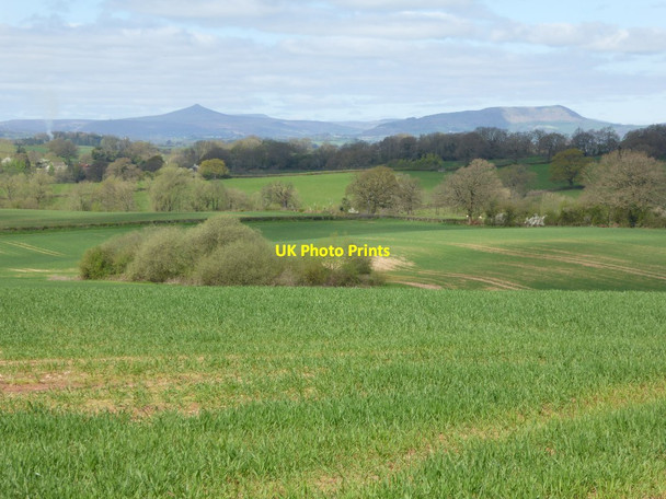 Photo 6"x4" View to Sugar Loaf and Skirrid Raglan c2017