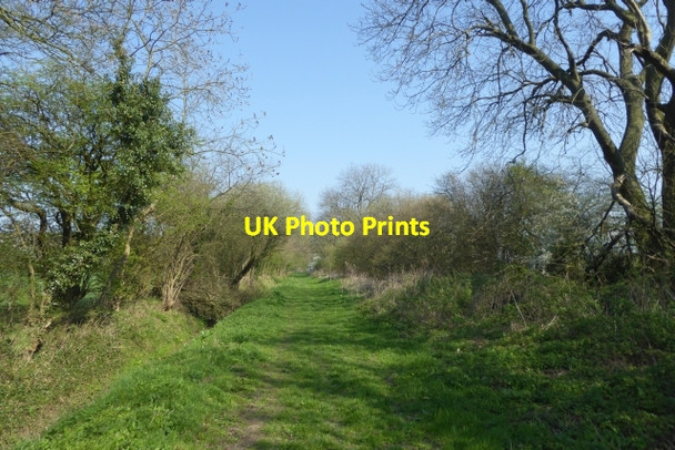 Photo 6"x4" Looking along Old Street Catterton c2017
