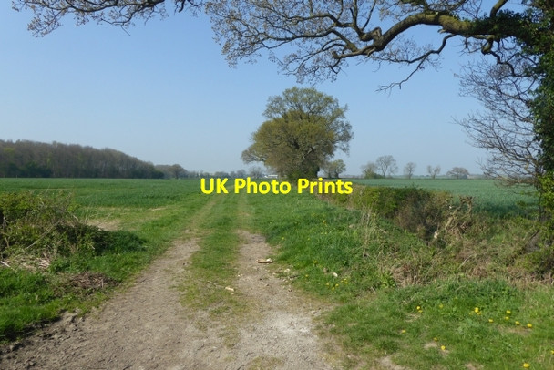 Photo 6"x4" Bridleway to Moor Lane Street Houses\/SE5245 c2017