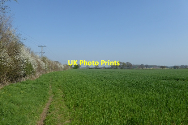 Photo 6"x4" Course of Old Street Bilbrough c2017
