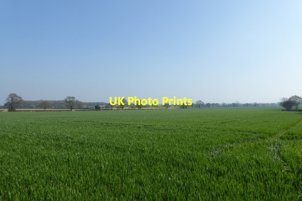 Photo 6"x4" Fields beside Old Street Colton\/SE5444 c2017