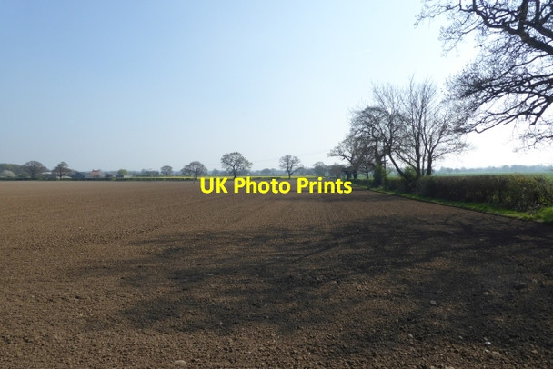 Photo 6"x4" Fields beside Old Street Bilbrough c2017