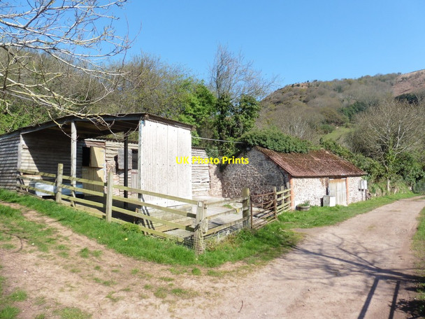 Photo 6"x4" Outbuildings at Woodcombe Farm Minehead c2017