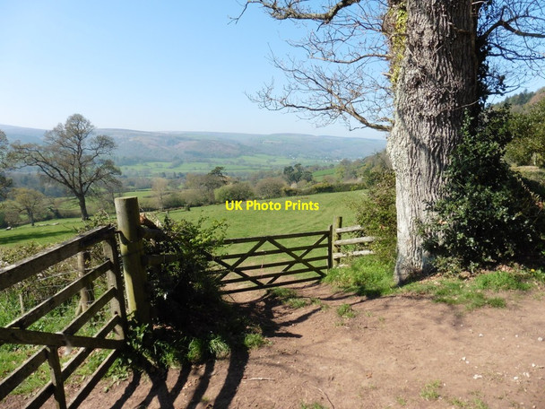 Photo 6"x4" Fields, east of Selworthy Blackford\/SS9245 c2017
