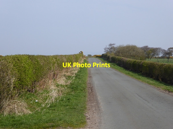 Photo 6"x4" Herd Hill Cardurnock c2017