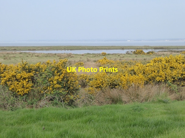 Photo 6"x4" Campfield Marsh RSPB Reserve Anthorn c2017