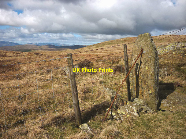 Photo 6"x4" Stone fence post on Capplebarrow Sadgill c2017