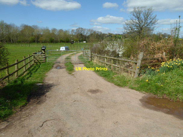 Photo 6"x4" Farmland entrance Treworgan Common c2017