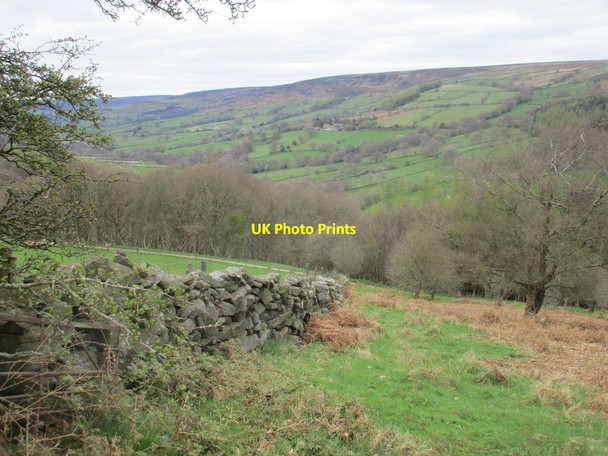 Photo 6"x4" View across Farndale from Harland Moor Lowna c2017